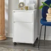 Wenz 2 Drawer Contemporary File Cabinet White - Buylateral -FURNITURE STORE GUEST 0dc03a2b c544 4f4a 9901 25b8048b3307