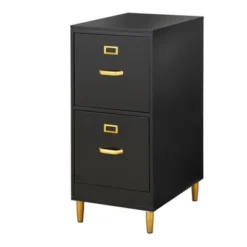 Dixie 2 Drawer Filing Cabinet - Buylateral 18 Dixie 2 Drawer Filing Cabinet - Buylateral -FURNITURE STORE GUEST a6c30278 e9d2 483a b366 845bb9afa6b5